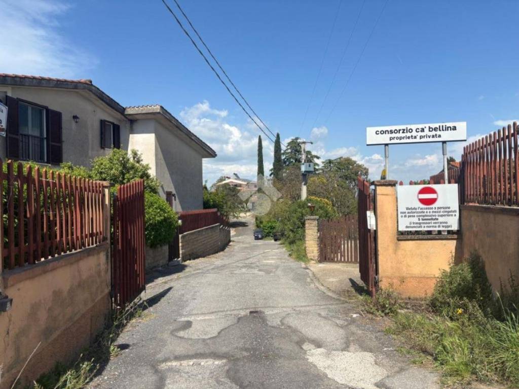 immagine annuncio 13 di 14