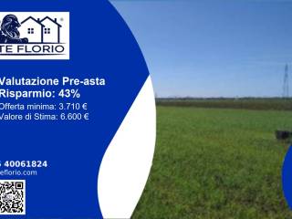 Terreno agricolo all'asta a san tammaro località fossa