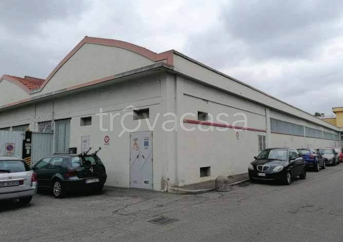 immagine annuncio 1 di 12