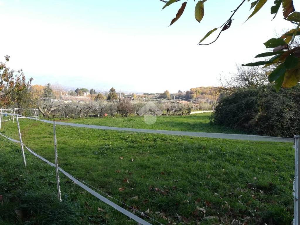 immagine annuncio 7 di 9