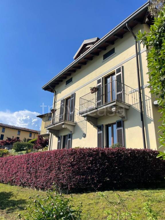 immagine annuncio 3 di 12