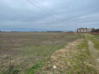 Terreno agricolo in vendita a mozzecane località meridiana