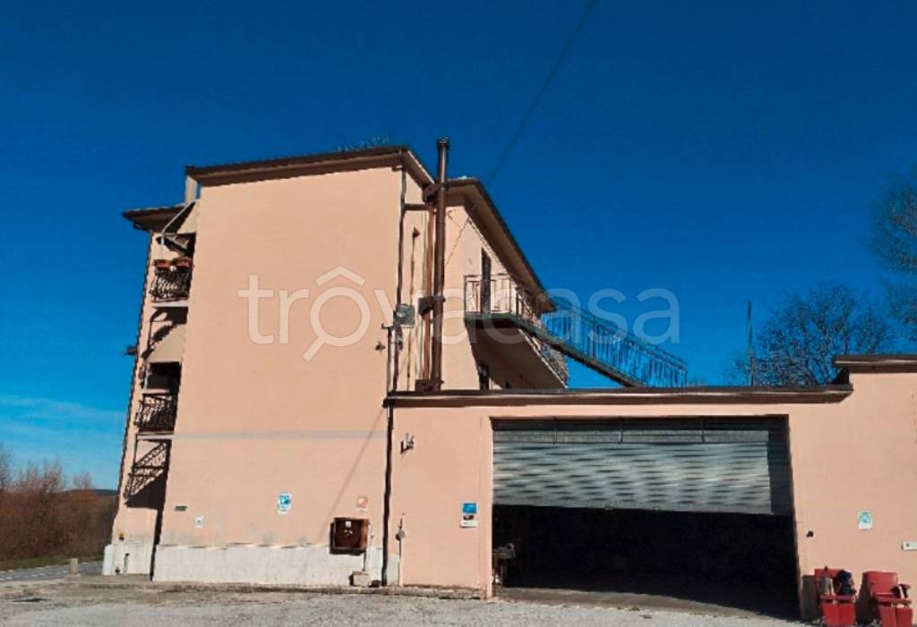 immagine annuncio 2 di 11