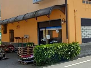 Negozio in affitto a quarona via 20 settembre, 14