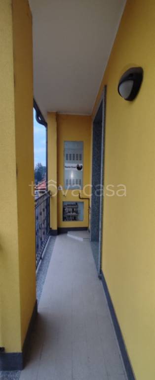 immagine annuncio 8 di 12