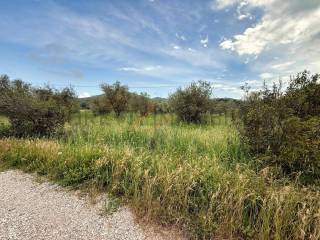 Terreno agricolo in vendita a piombino località bonaria, 15