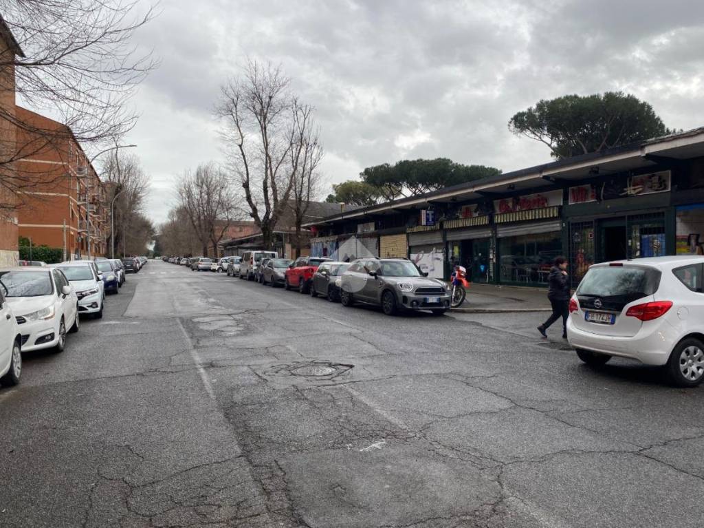 immagine annuncio 9 di 11