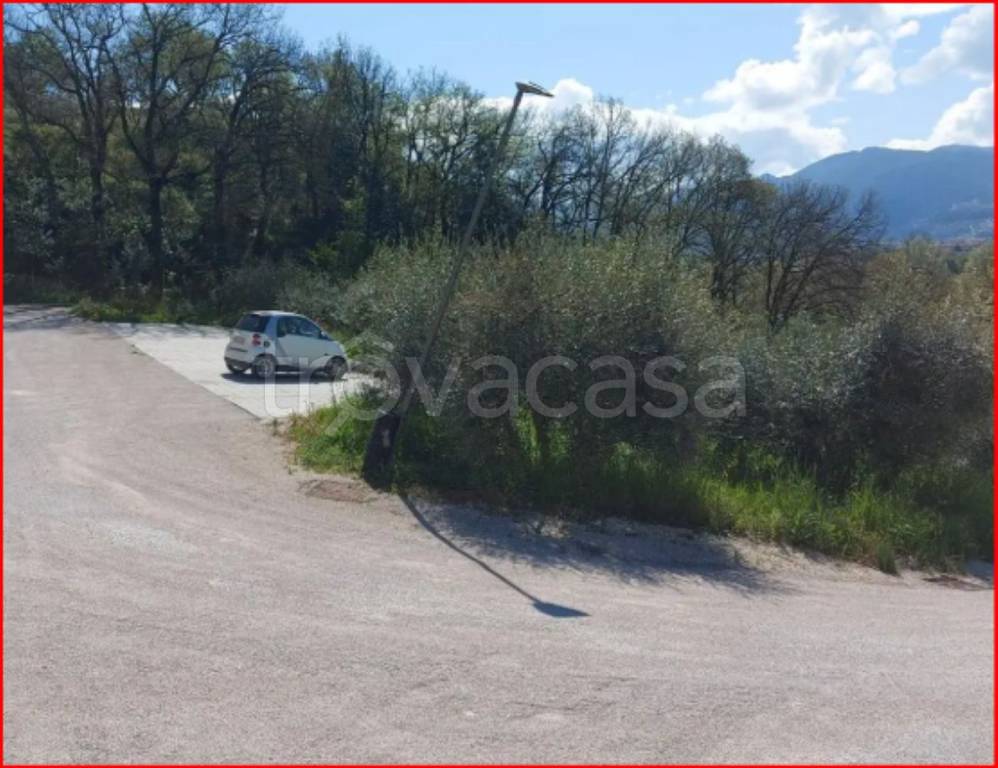 immagine annuncio 3 di 11