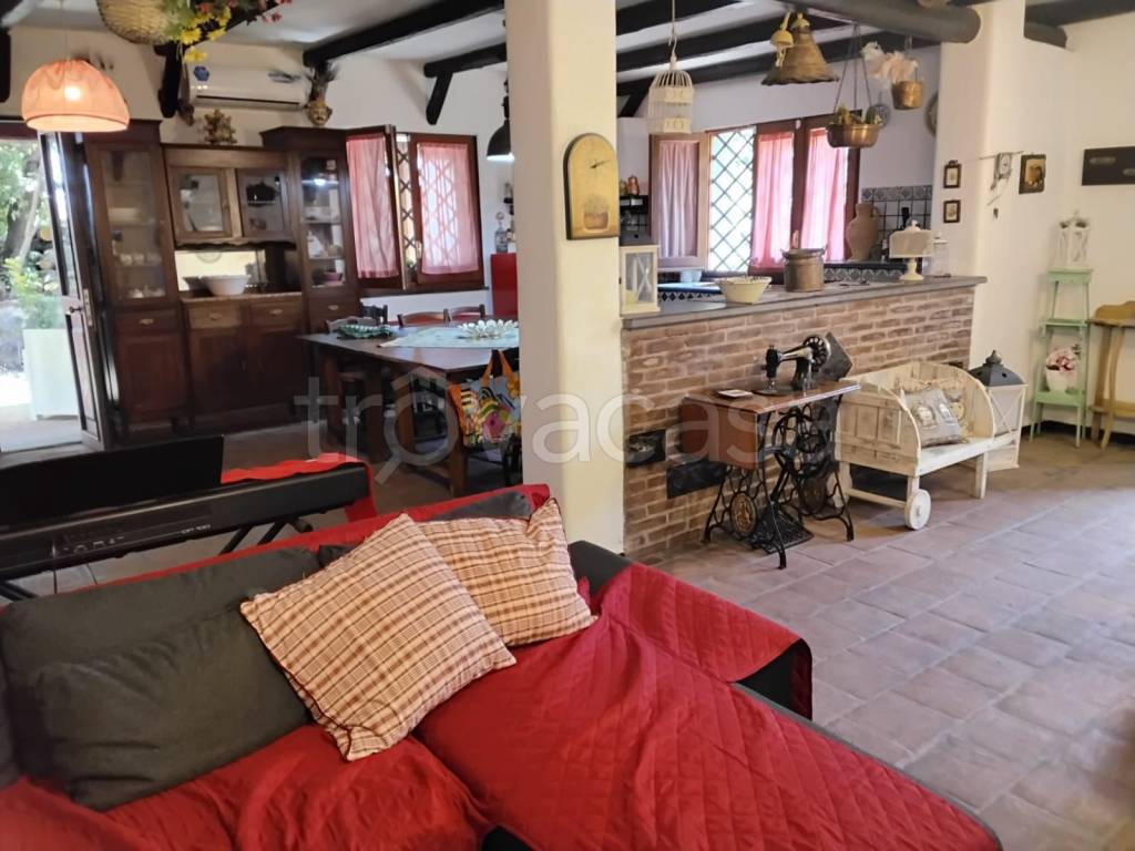 immagine annuncio 8 di 15