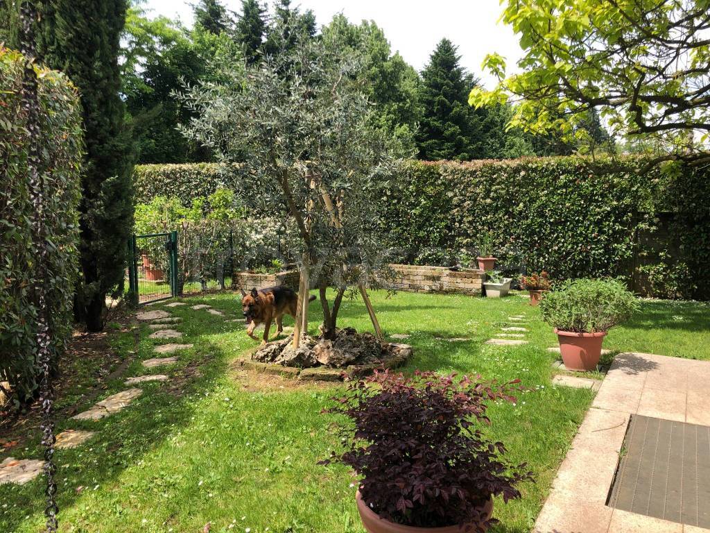 immagine annuncio 4 di 15