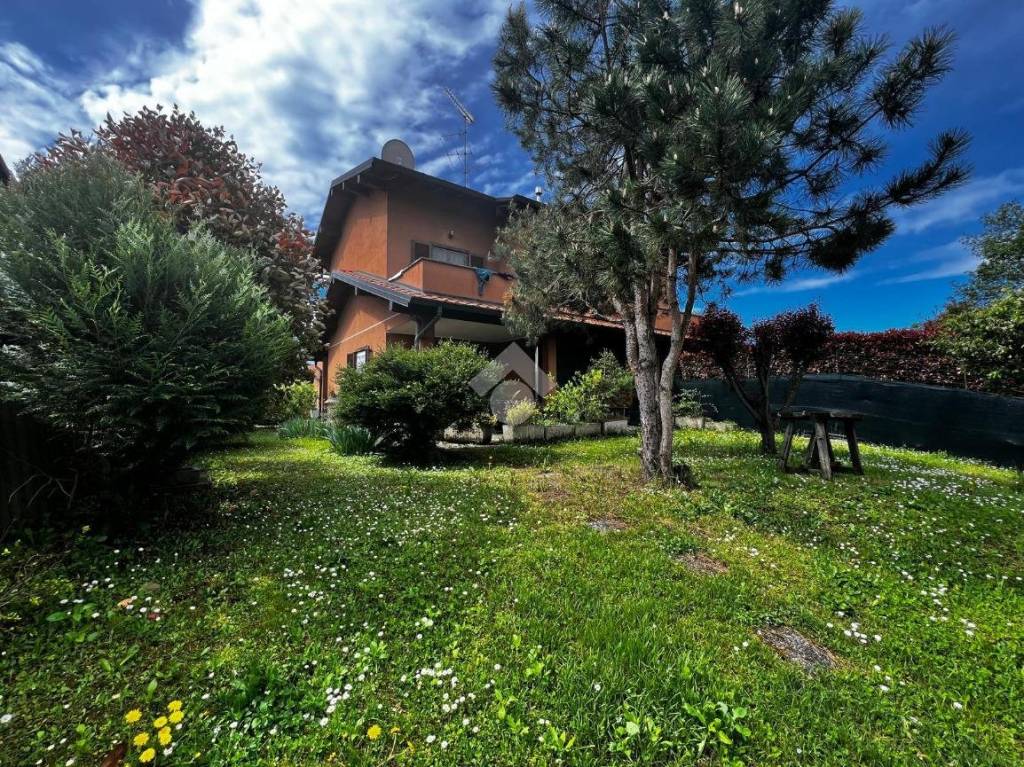immagine annuncio 3 di 15
