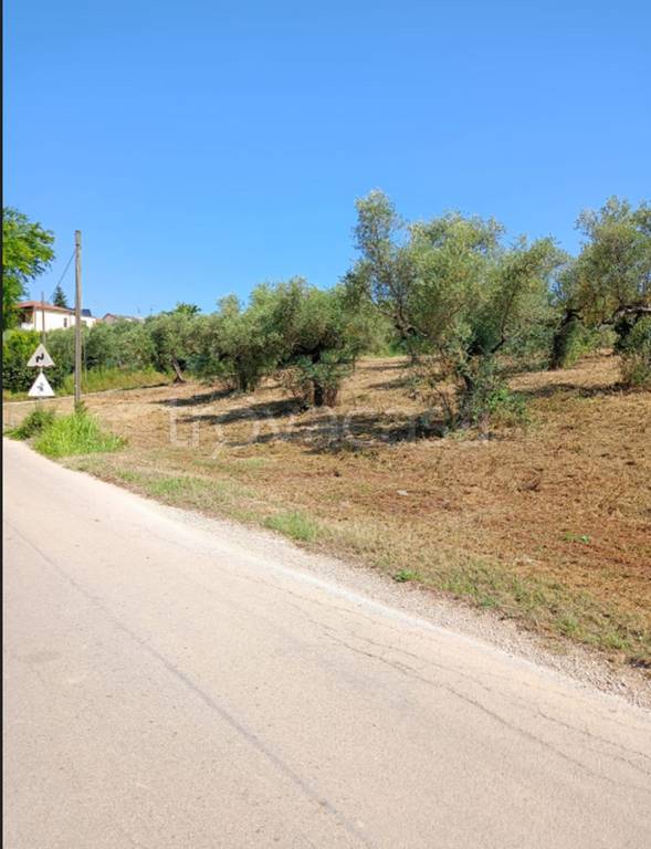immagine annuncio 5 di 11