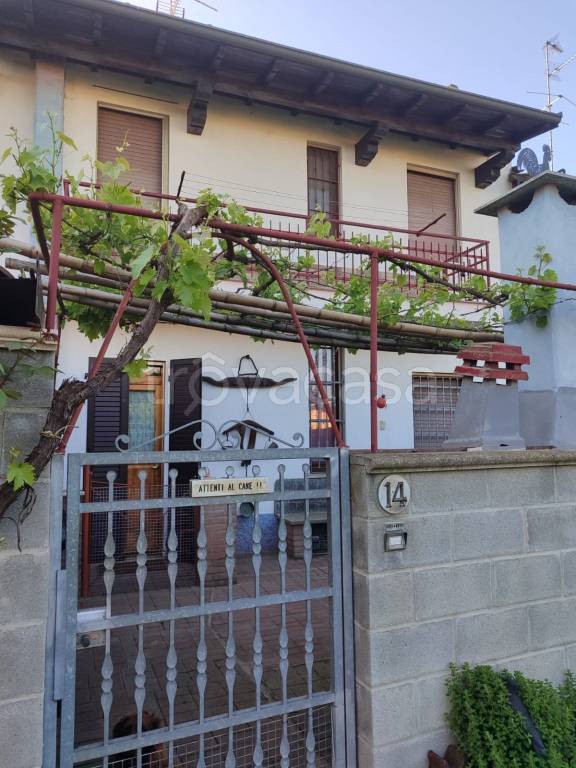 immagine annuncio 1 di 15