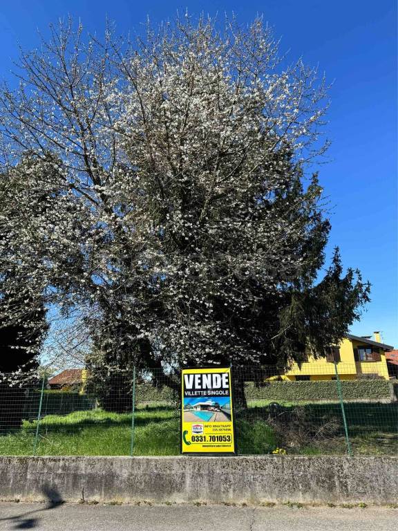 immagine annuncio 13 di 15