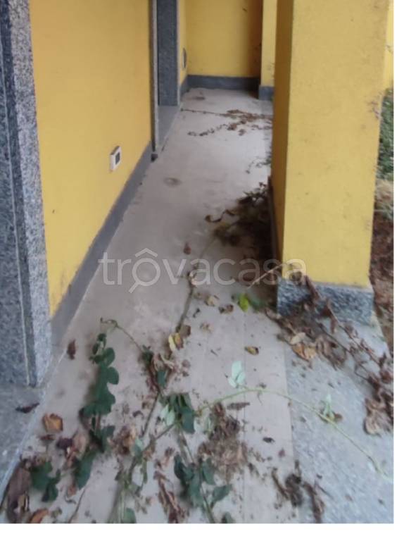 immagine annuncio 11 di 14