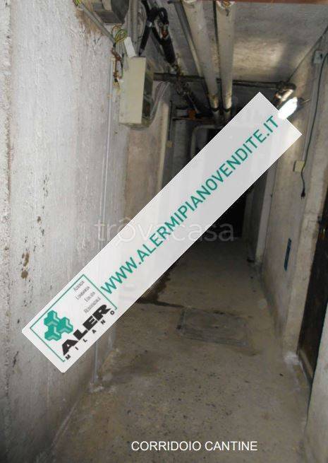 immagine annuncio 12 di 14