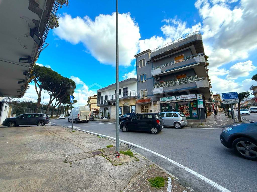 immagine annuncio 9 di 12