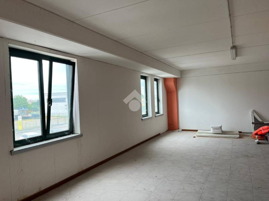 immagine annuncio 9 di 14