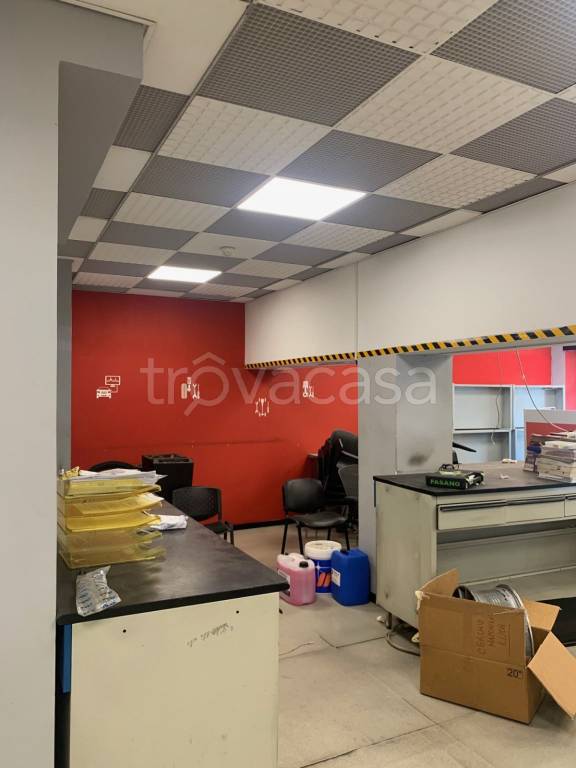 immagine annuncio 5 di 15