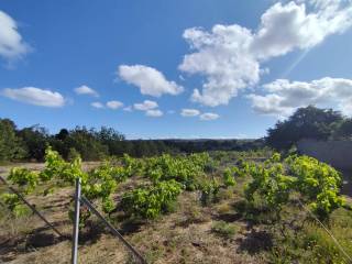 Terreno agricolo in vendita a portoscuso sp108