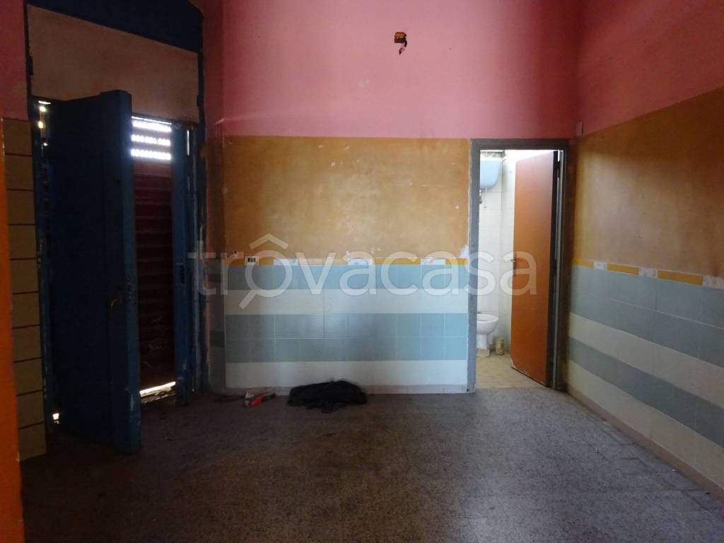immagine annuncio 4 di 8