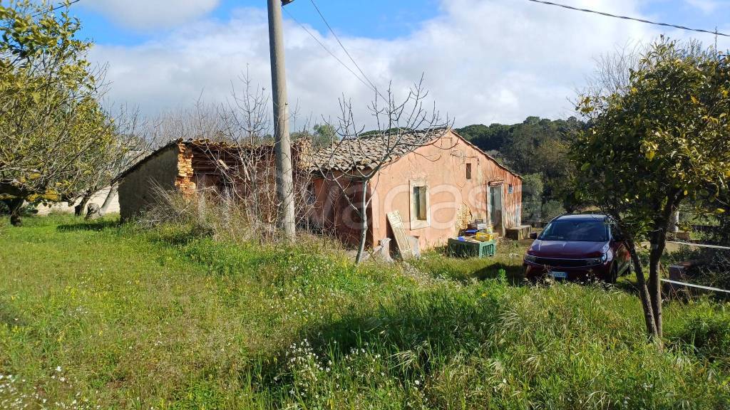 immagine annuncio 2 di 14