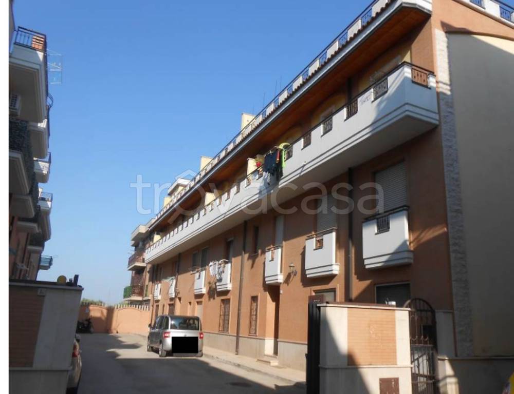 immagine annuncio 6 di 13