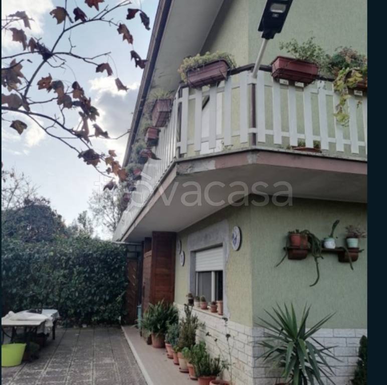 immagine annuncio 4 di 14