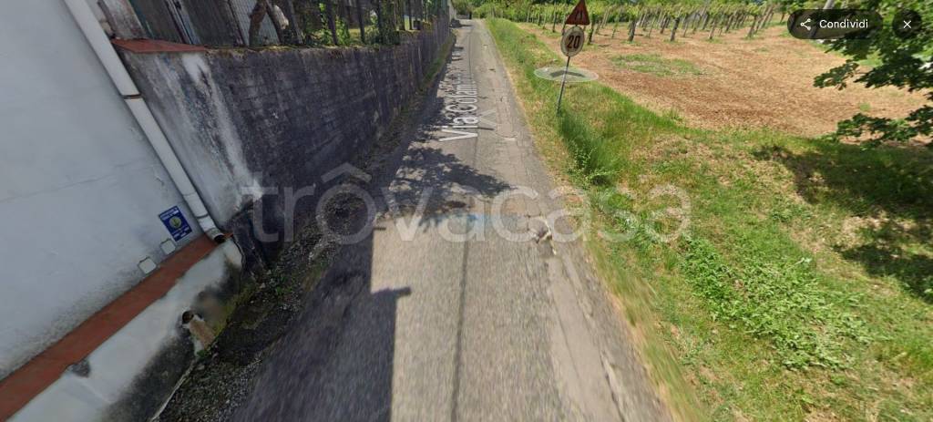 immagine annuncio 11 di 14