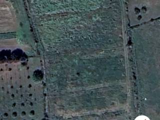 Terreno agricolo in vendita a monastir sp7