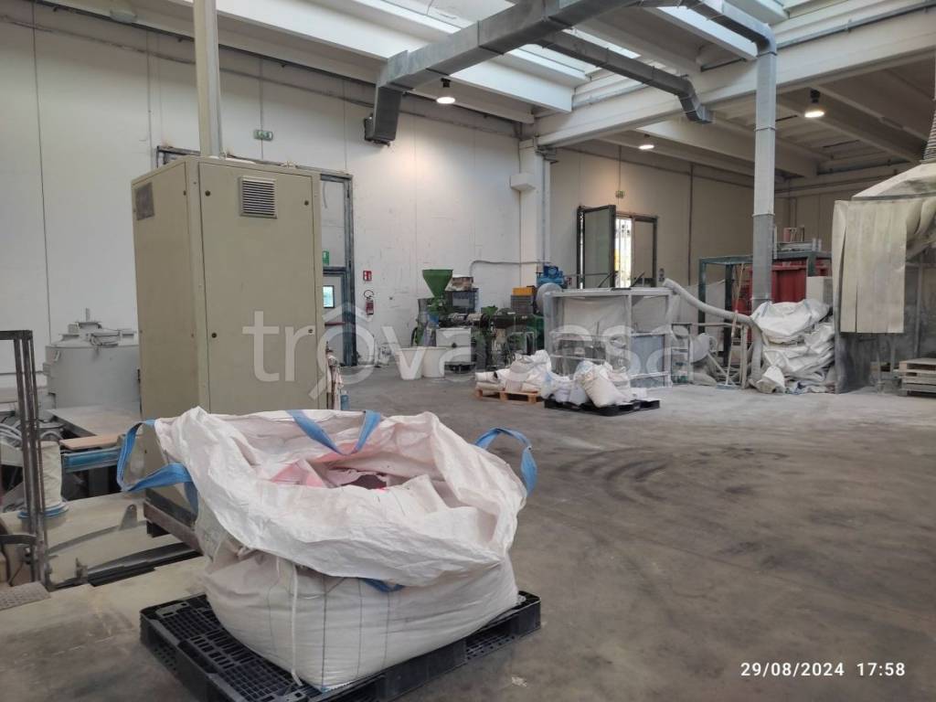 immagine annuncio 3 di 12