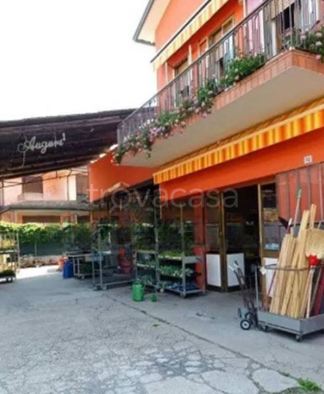 immagine annuncio 2 di 10