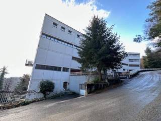 Appartamento all'asta a bibiana via s. vincenzo,, 177