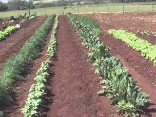 Terreno agricolo in affitto a giulianova via case di trento, 4a