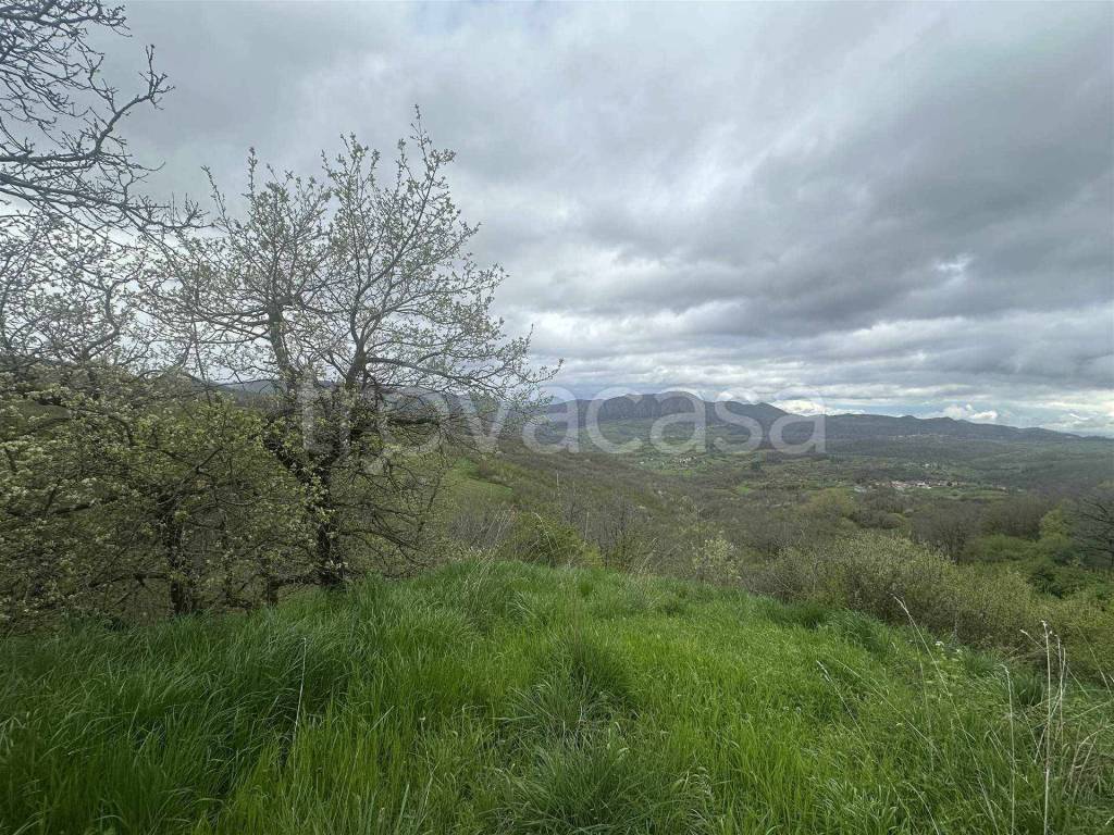 immagine annuncio 5 di 12