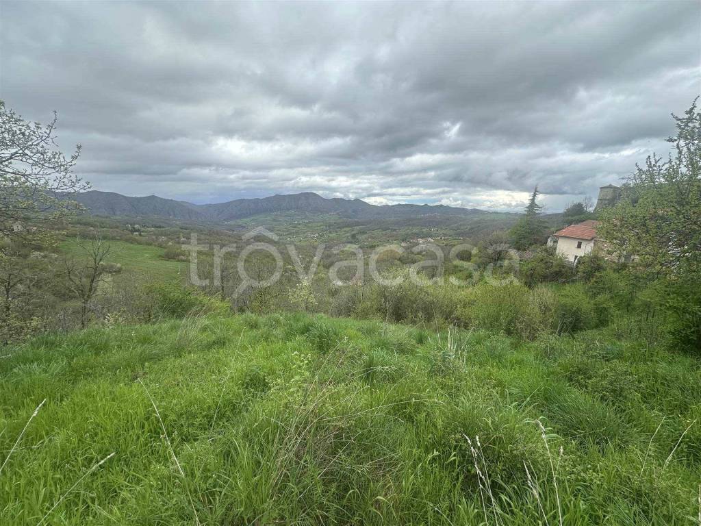 immagine annuncio 6 di 12