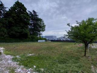 Terreno agricolo in affitto a treviso via noalese