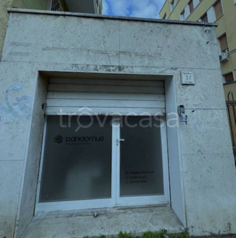 immagine annuncio 3 di 7