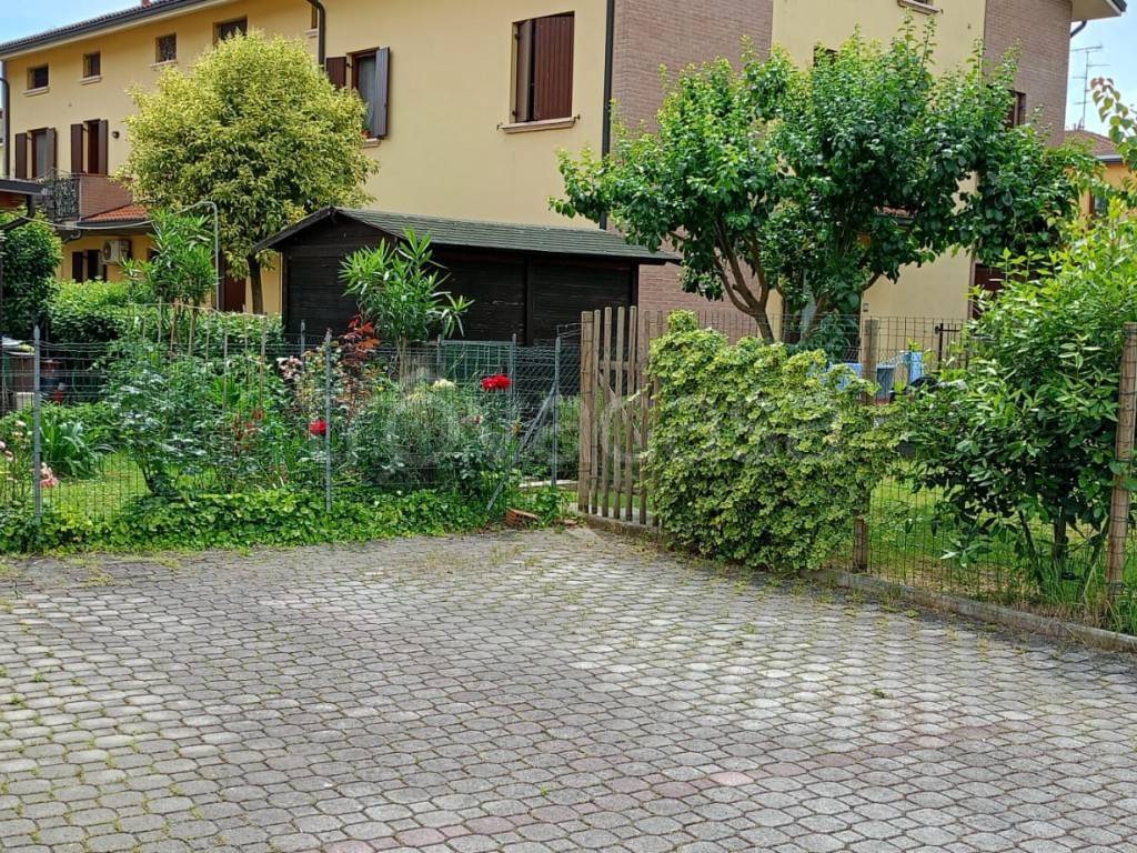 immagine annuncio 6 di 15