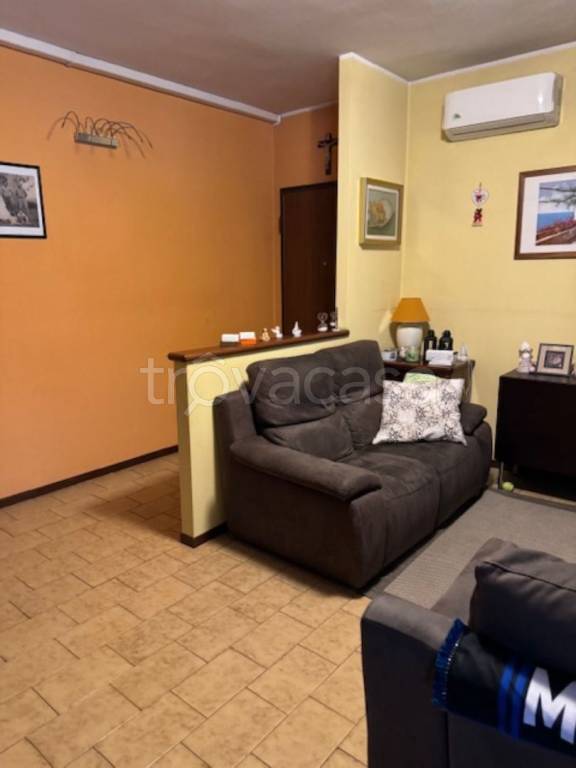 immagine annuncio 2 di 13