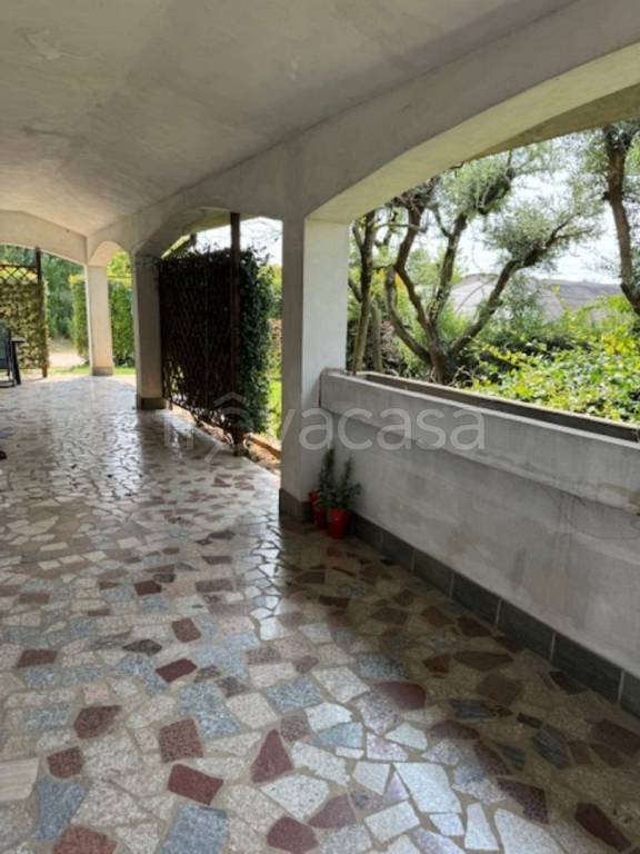 immagine annuncio 11 di 13