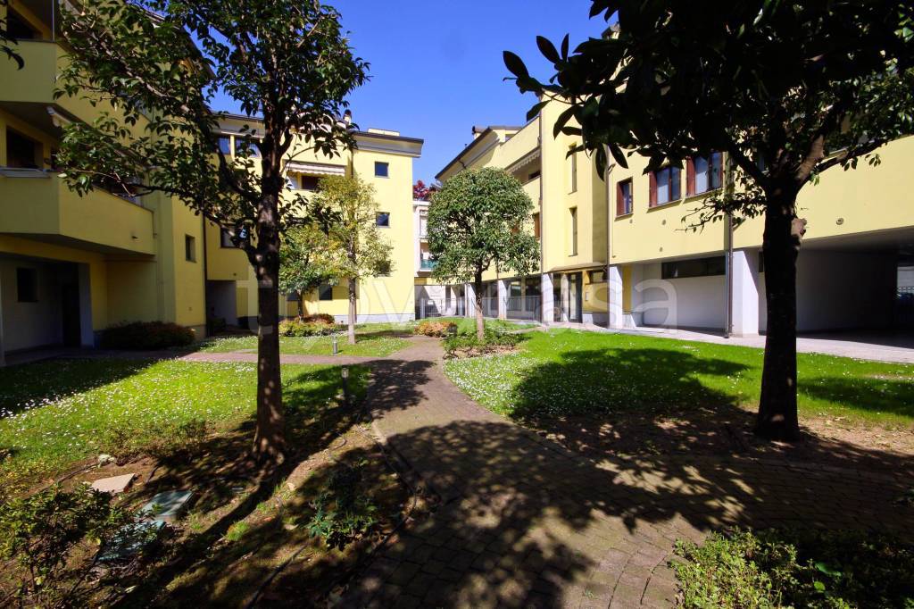 immagine annuncio 2 di 14