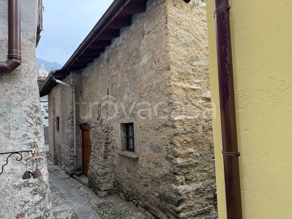 immagine annuncio 11 di 12