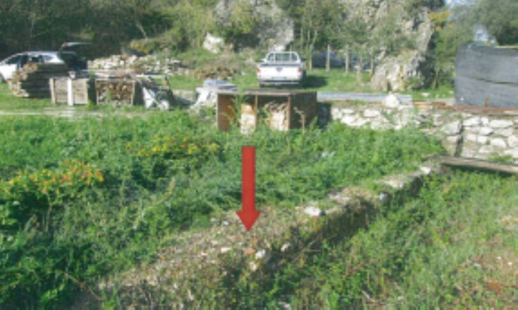 immagine annuncio 1 di 11