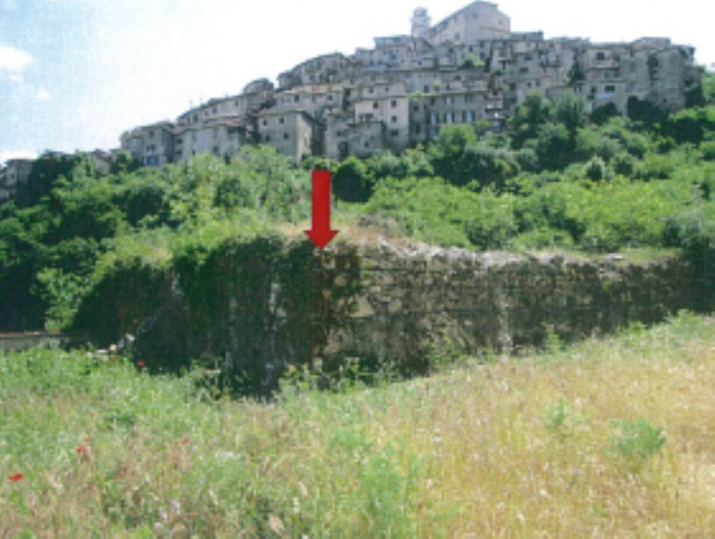 immagine annuncio 3 di 11