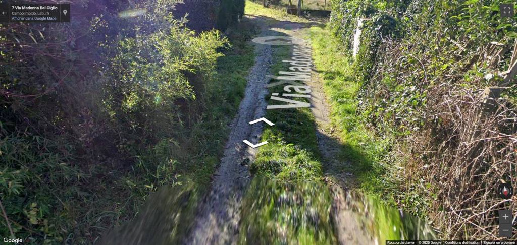 immagine annuncio 11 di 14