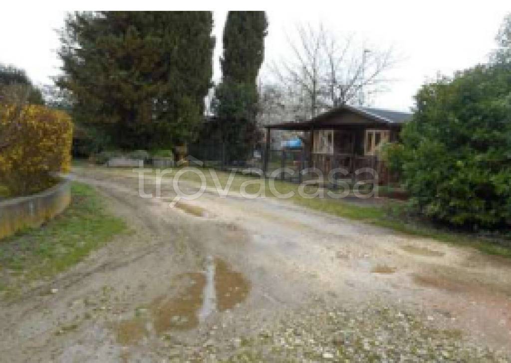 immagine annuncio 9 di 12