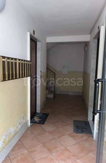 immagine annuncio 6 di 14