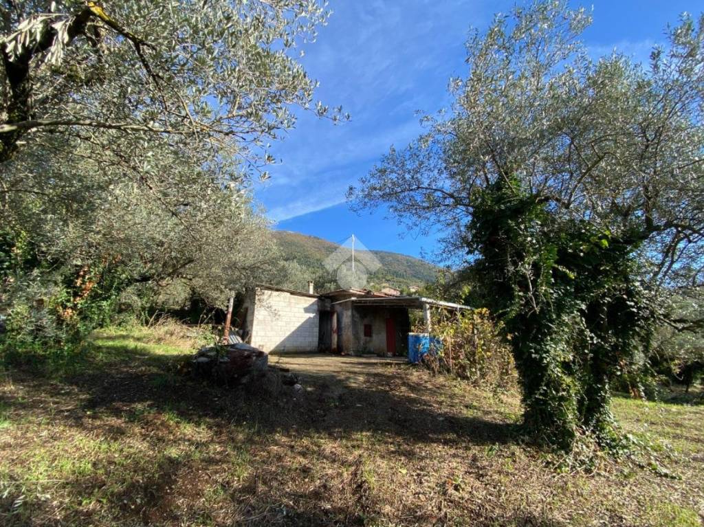 immagine annuncio 3 di 8