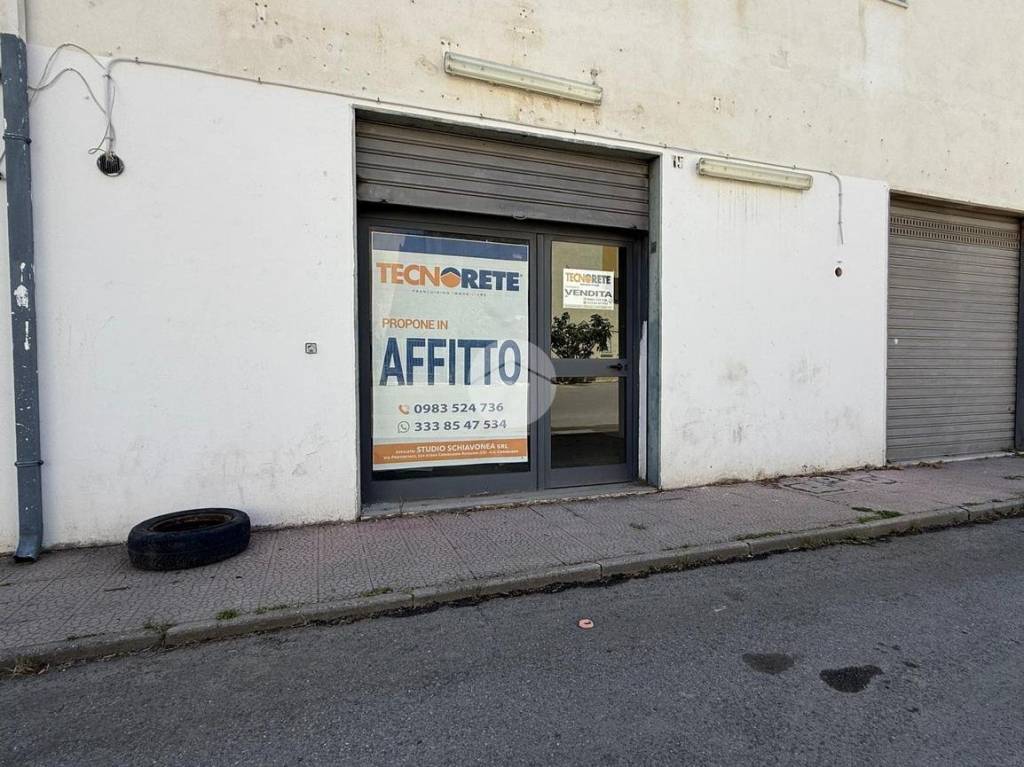 immagine annuncio 11 di 14
